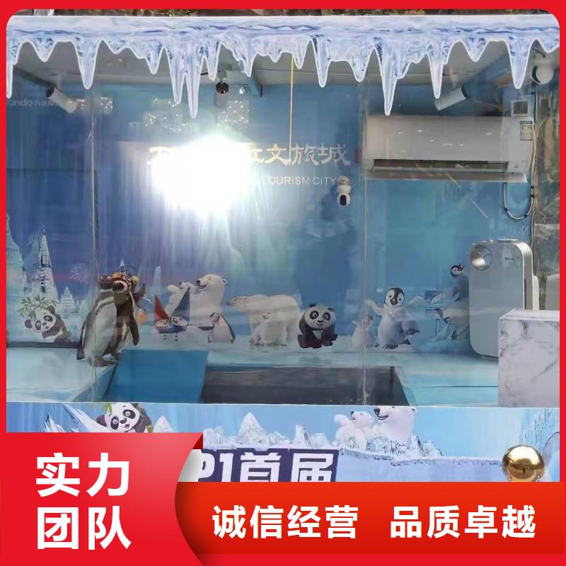 海洋主题动物表演羊驼出租精英团队
