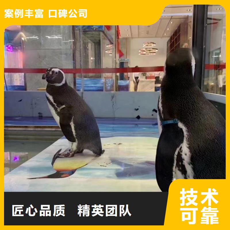 海洋主题动物表演马戏团表演出租省钱省时