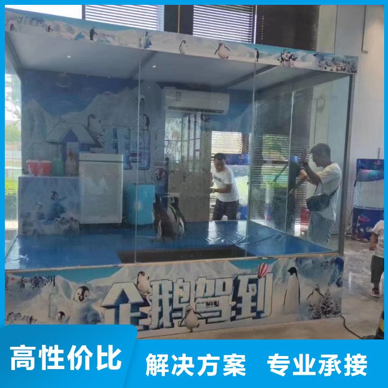 【欢迎合作海洋主题动物表演羊驼出租品质服务】本地咨询