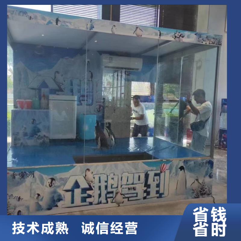 出租海洋生物展联系方式