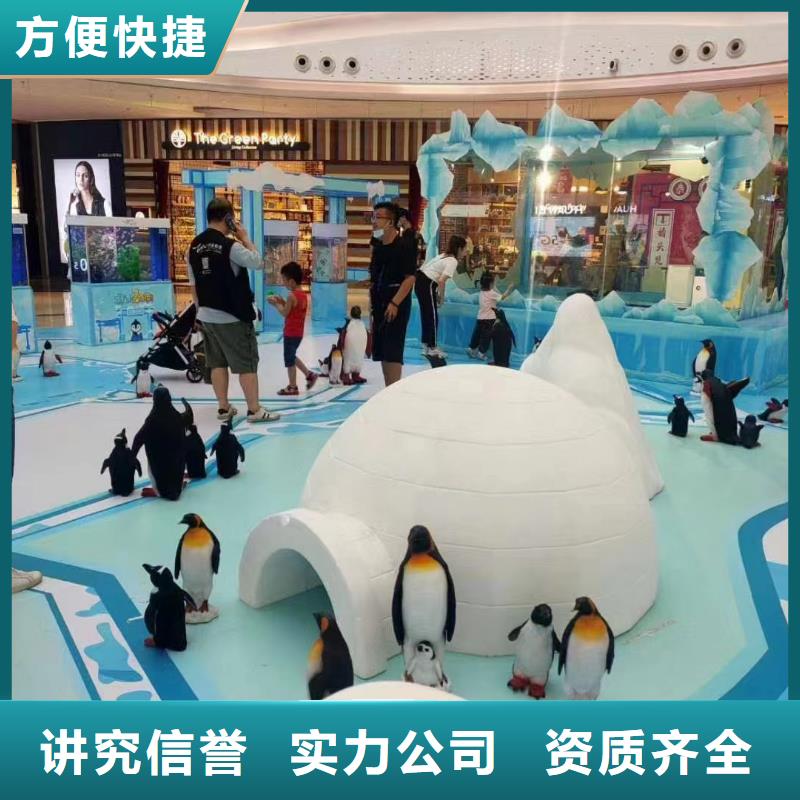 海洋主题动物表演美人鱼表演资质齐全