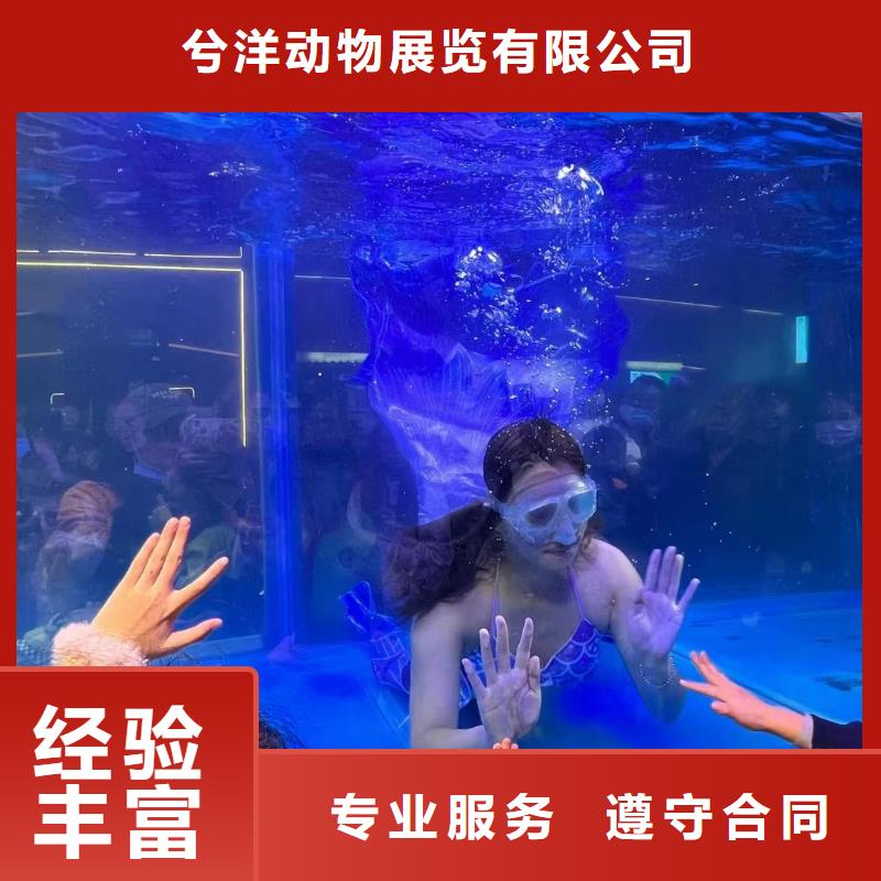 海洋生物展租赁