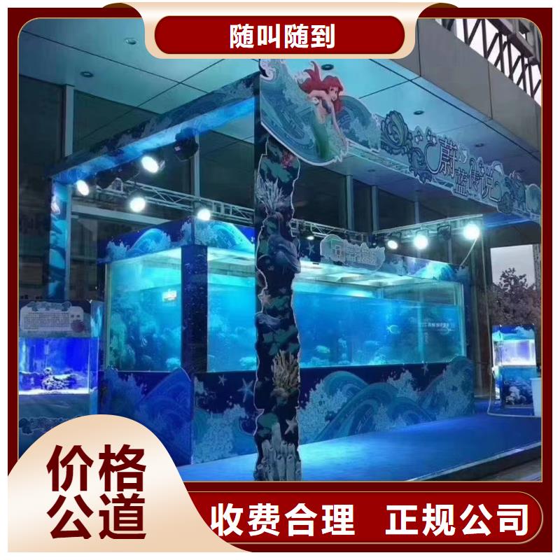 海洋主题动物表演【海狮表演】服务热情