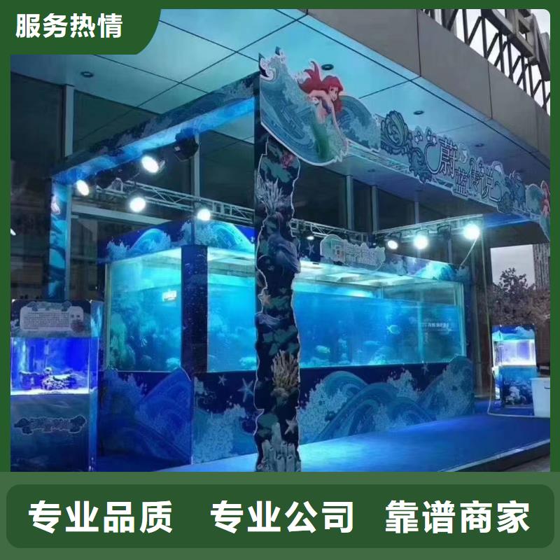 海洋主题动物表演表演羊驼租赁明码标价
