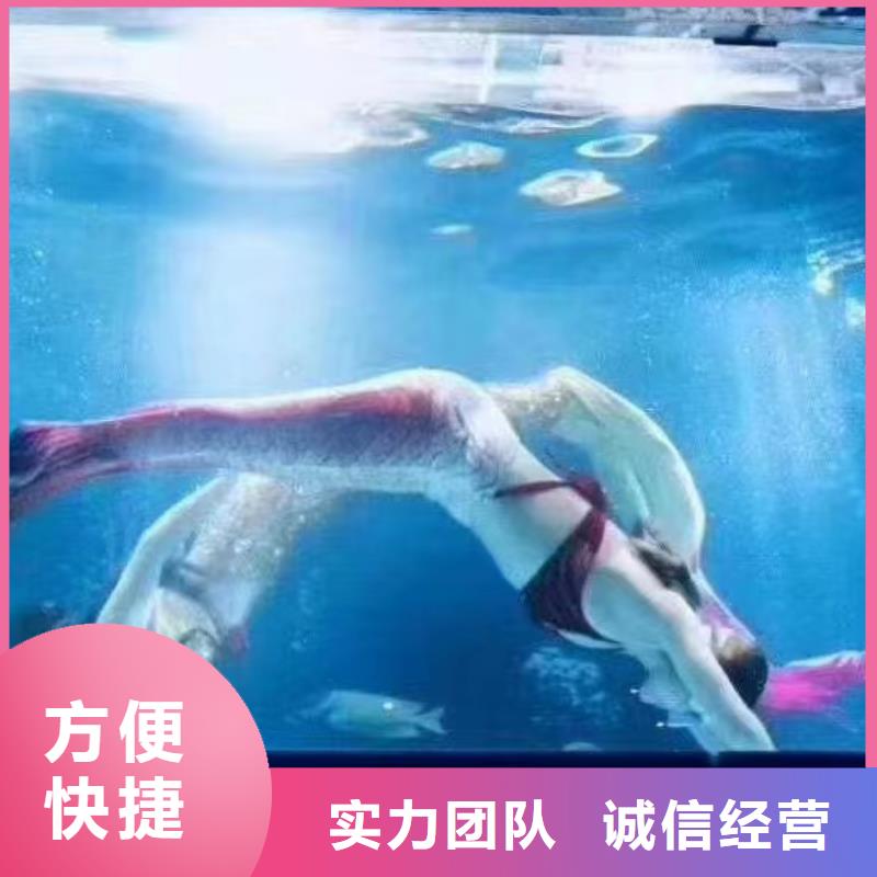 海洋主题动物表演海狮表演出租放心之选