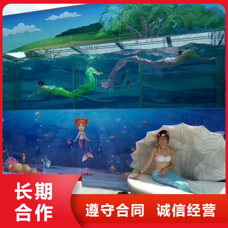 海洋主题动物表演企鹅租赁齐全