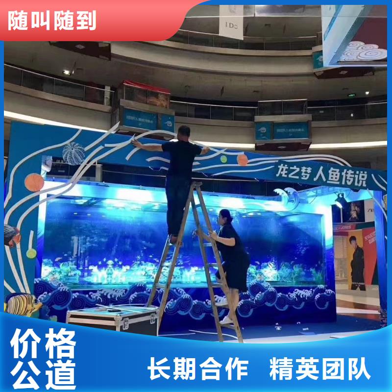 海洋主题动物表演,【小马戏出租】技术好