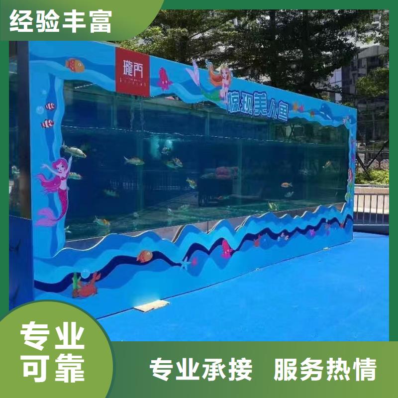 兮洋美人鱼表演【海洋主题动物表演】_海狮表演出租实力雄厚qy55.com