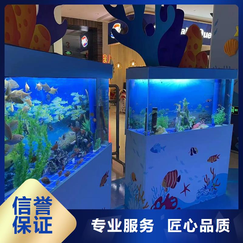 海洋生物展出租厂家找兮洋动物展览有限公司