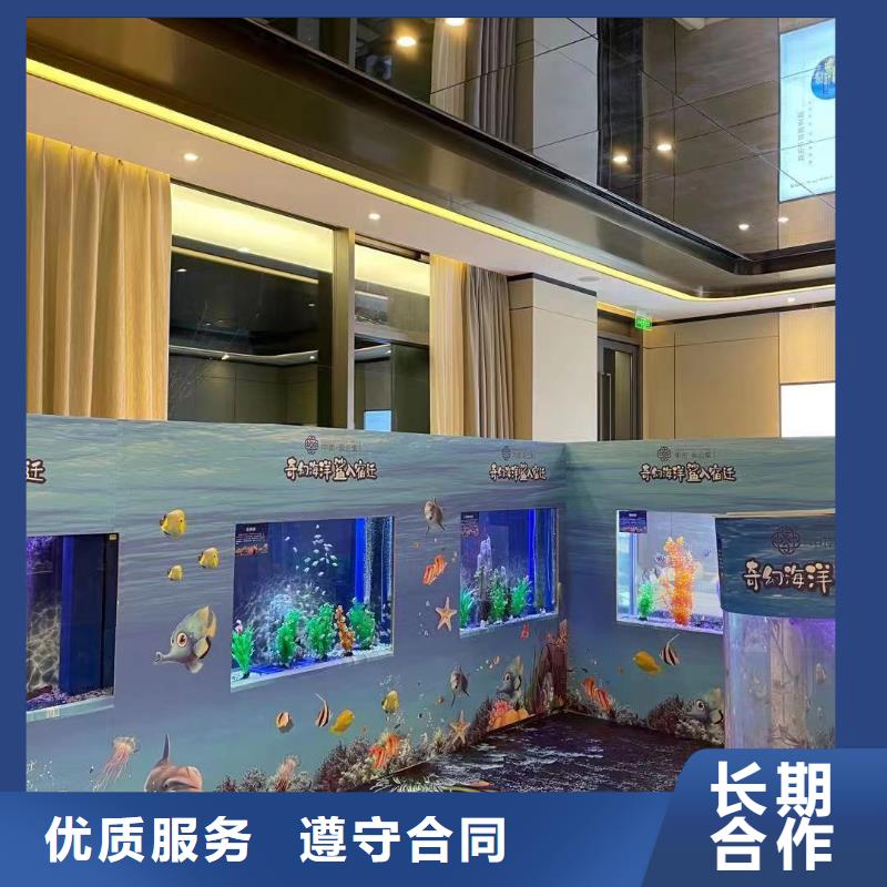 海洋主题动物表演企鹅出租放心