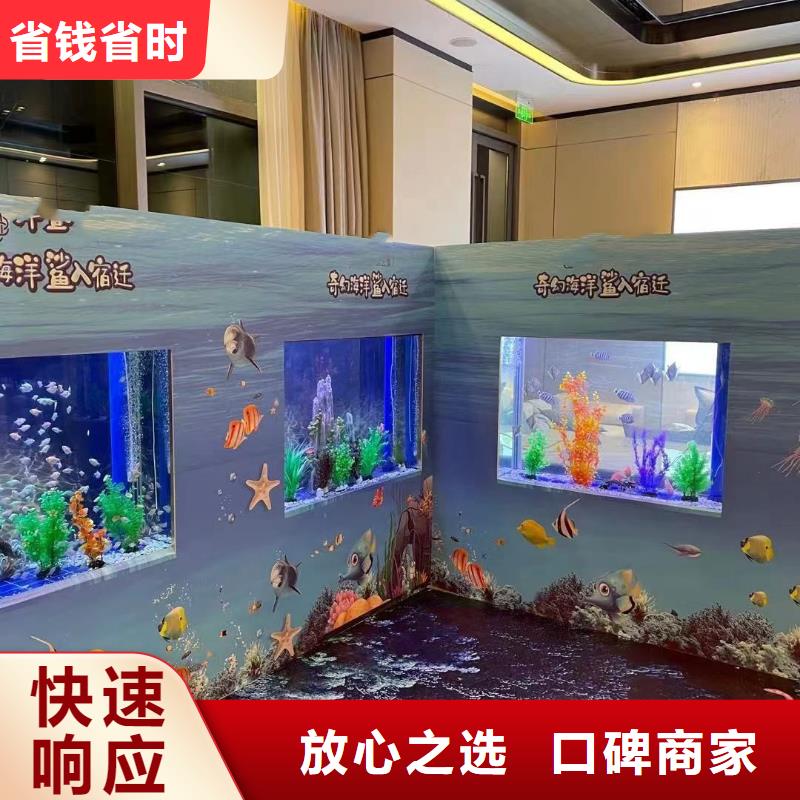 海洋主题动物表演海狮表演出租优质服务