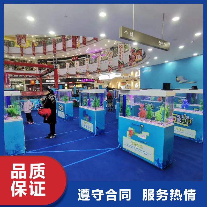 美人鱼表演租赁活动图片