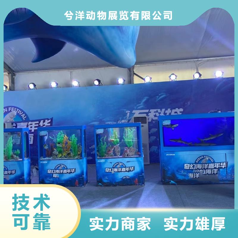 海洋生物展租賃附近