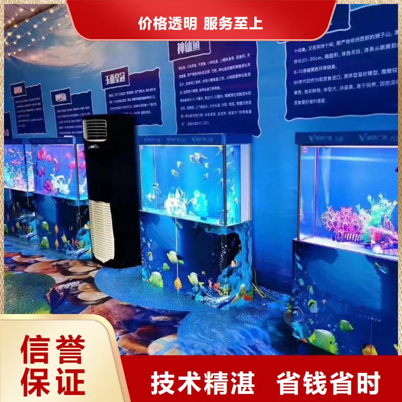 海洋主题动物表演海狮表演租赁多年经验