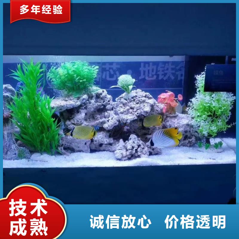 【海洋主题动物表演美人鱼表演解决方案】