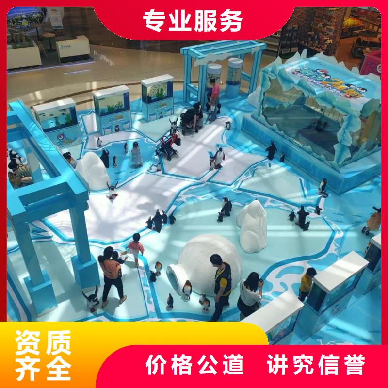 海洋主题动物表演,鹦鹉表演欢迎合作