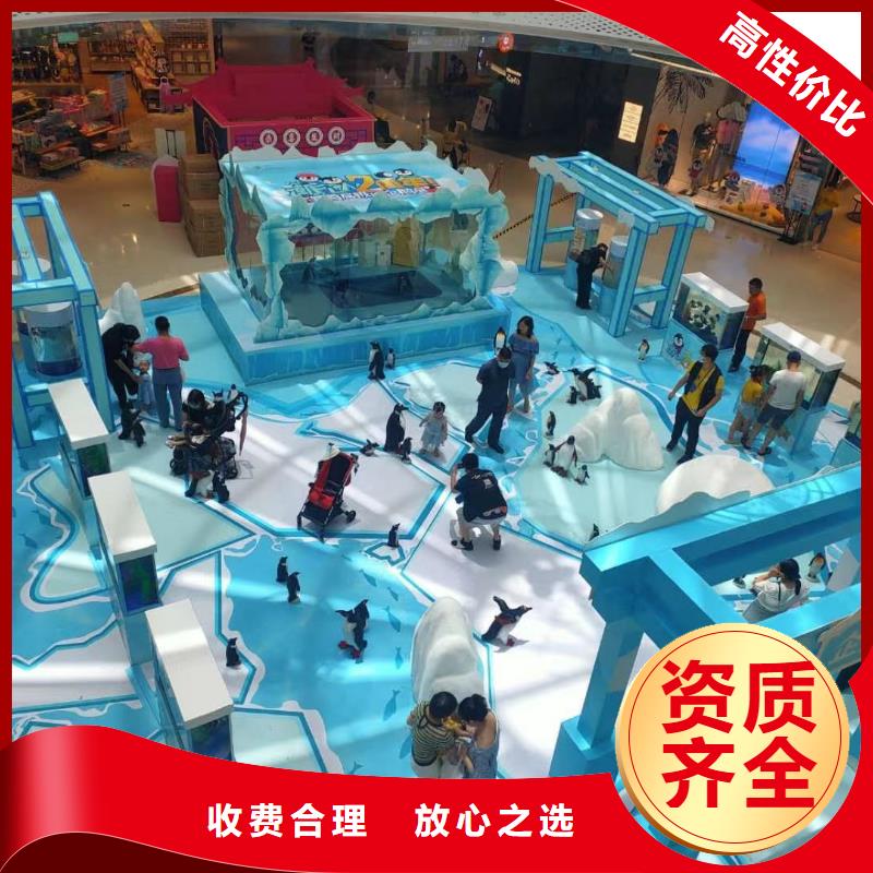 海洋主题动物表演,鹦鹉表演实力强有保证