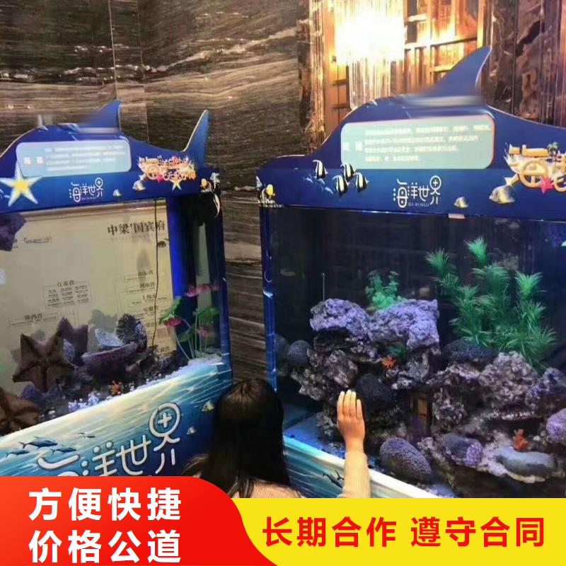 哪有出租海狮的