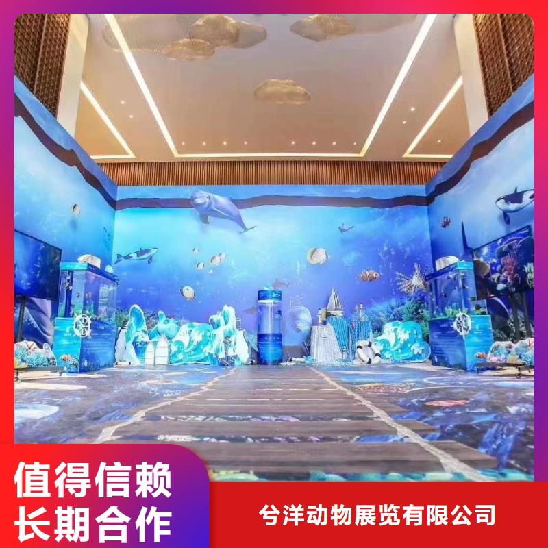 海洋主题动物表演 海豚表演收费合理