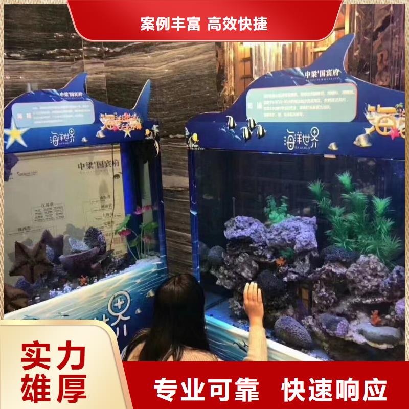 供应批发海洋展租赁厂家