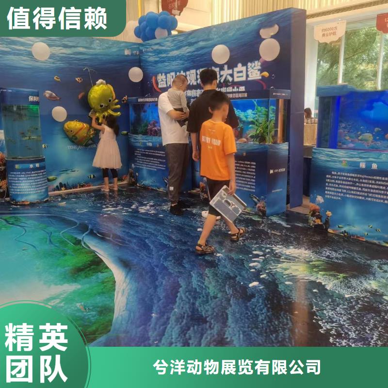 海洋主题动物表演【企鹅表演出租】服务至上