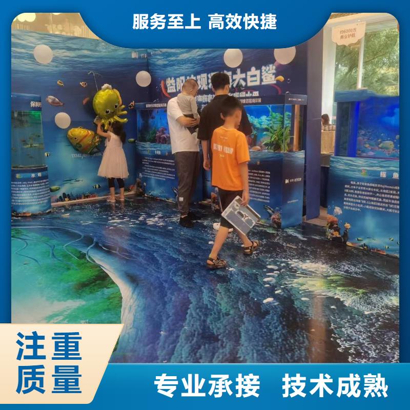 海洋主题动物表演-出租马戏团表演2025公司精心