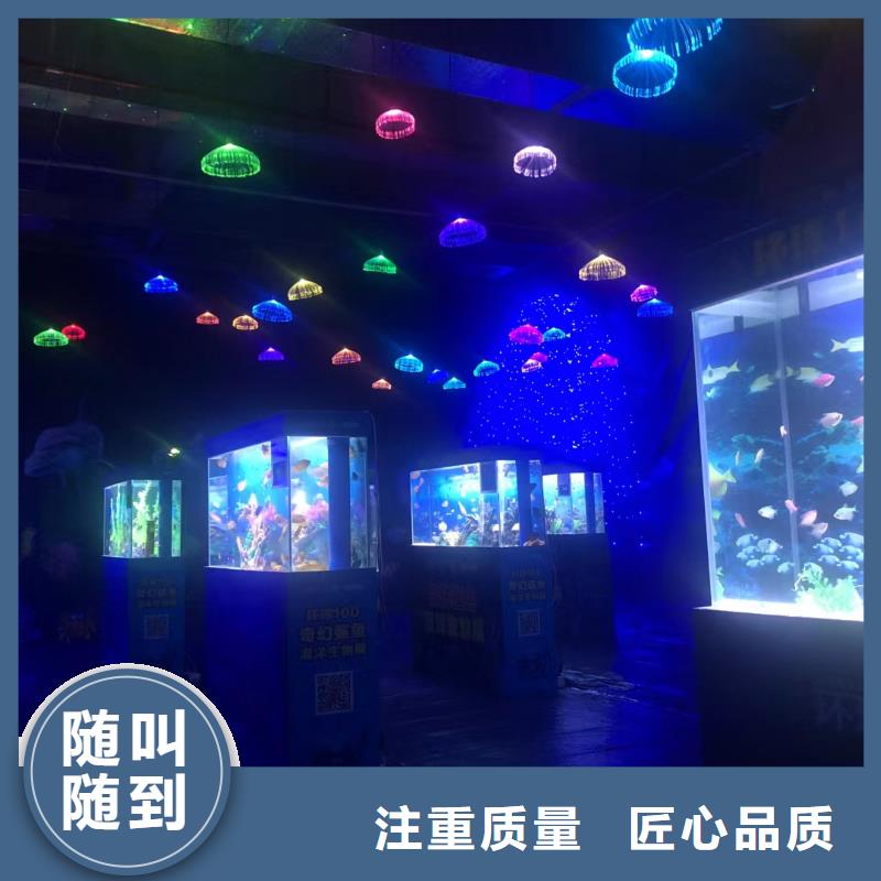 海洋主题动物表演草泥马羊驼租赁技术成熟
