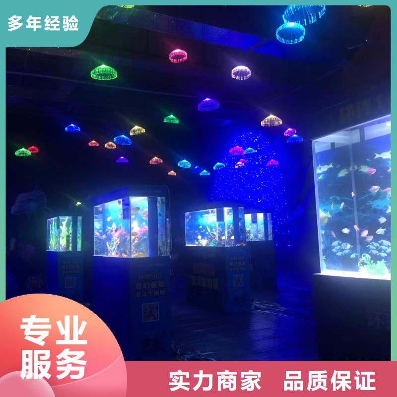 海洋主题动物表演出租羊驼放心之选
