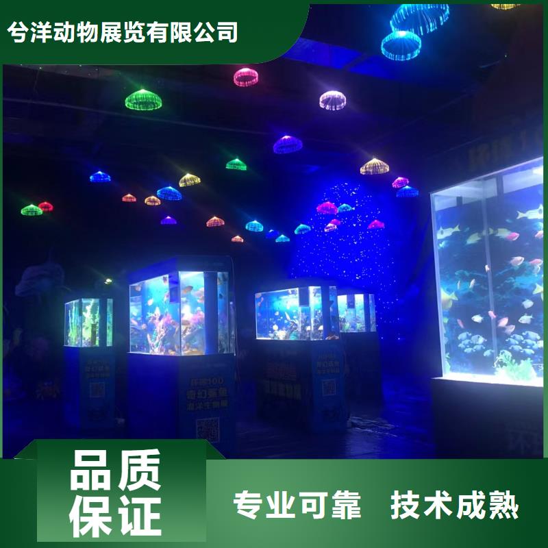 海洋生物展出租厂家_大量现货