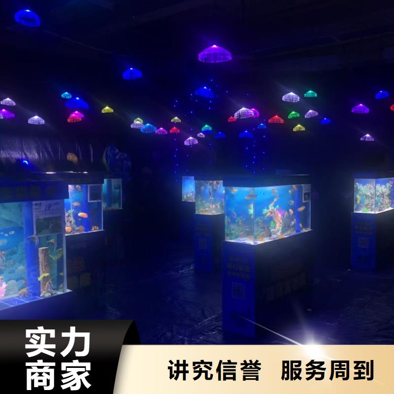 海狮表演出租活动图片