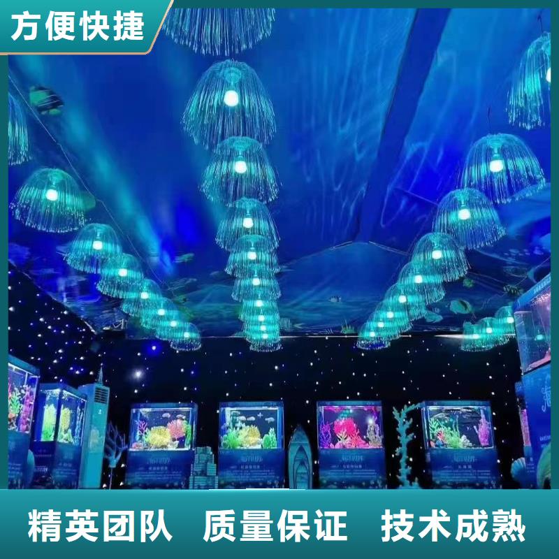海洋主题动物表演,美人鱼表演注重质量