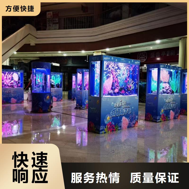 海洋主題動物表演出租馬戲表演知名公司