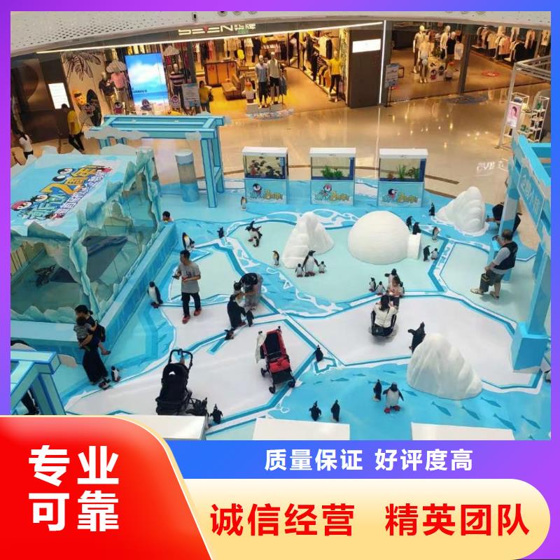 海洋主题动物表演草泥马羊驼租赁技术成熟