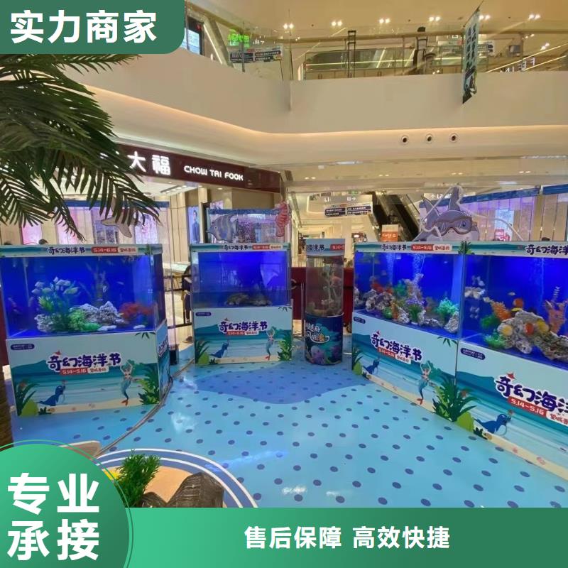 海狮表演出租