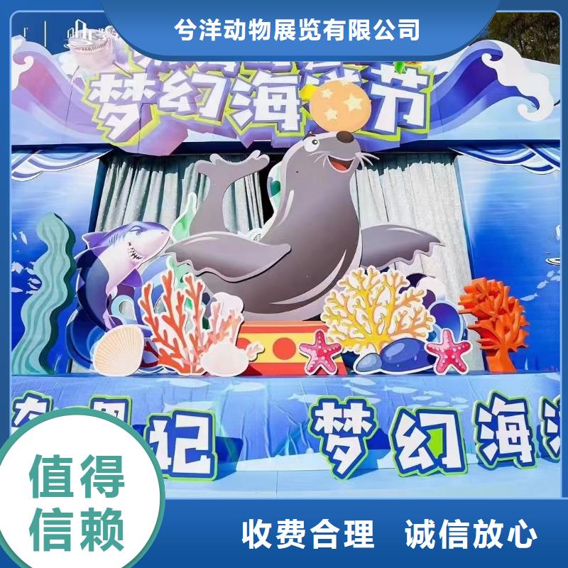 兮洋美人鱼表演【海洋主题动物表演】_海狮表演出租实力雄厚qy55.com