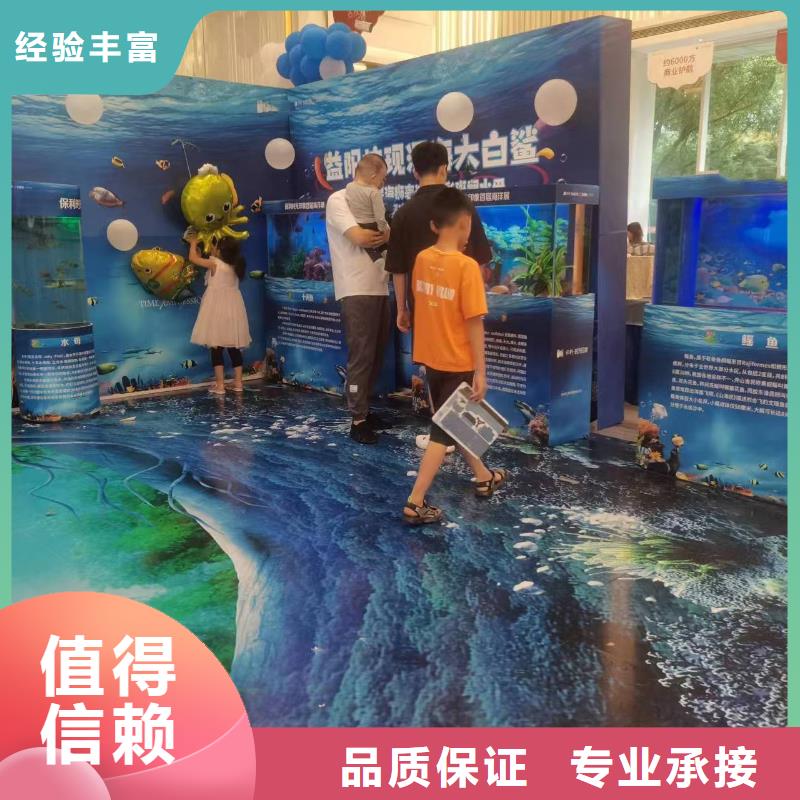 海洋主题动物表演羊驼出租先进的技术