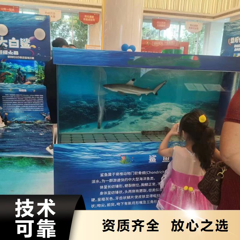 海洋主题动物表演企鹅租赁价格低于同行