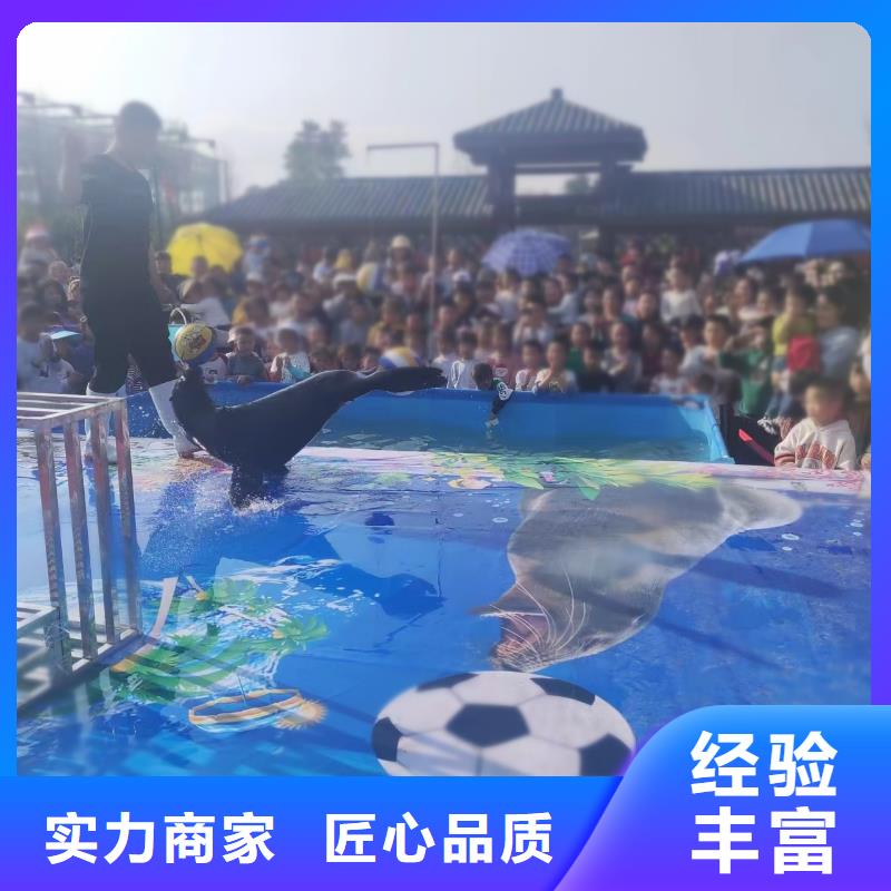 海洋主题动物表演【海狮杂技表演】全市24小时服务