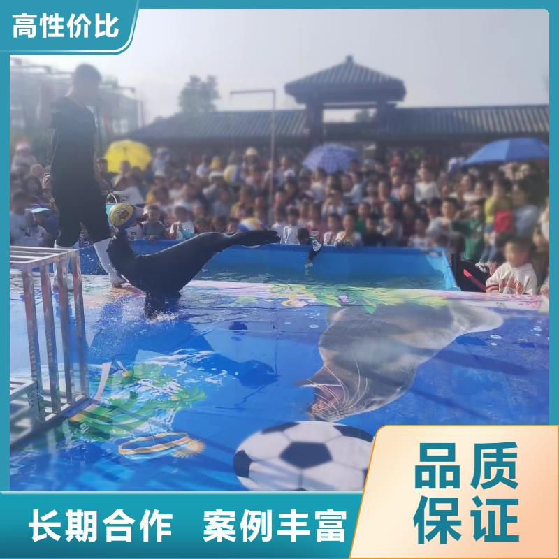 海洋主题动物表演马戏表演全市24小时服务