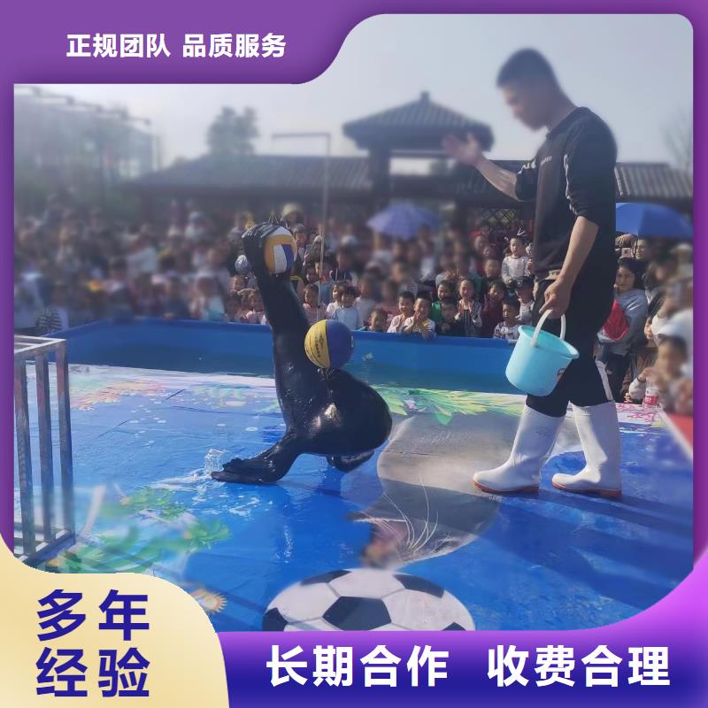 兮洋【海洋主题动物表演】_海狮表演出租实力雄厚-美人鱼表演