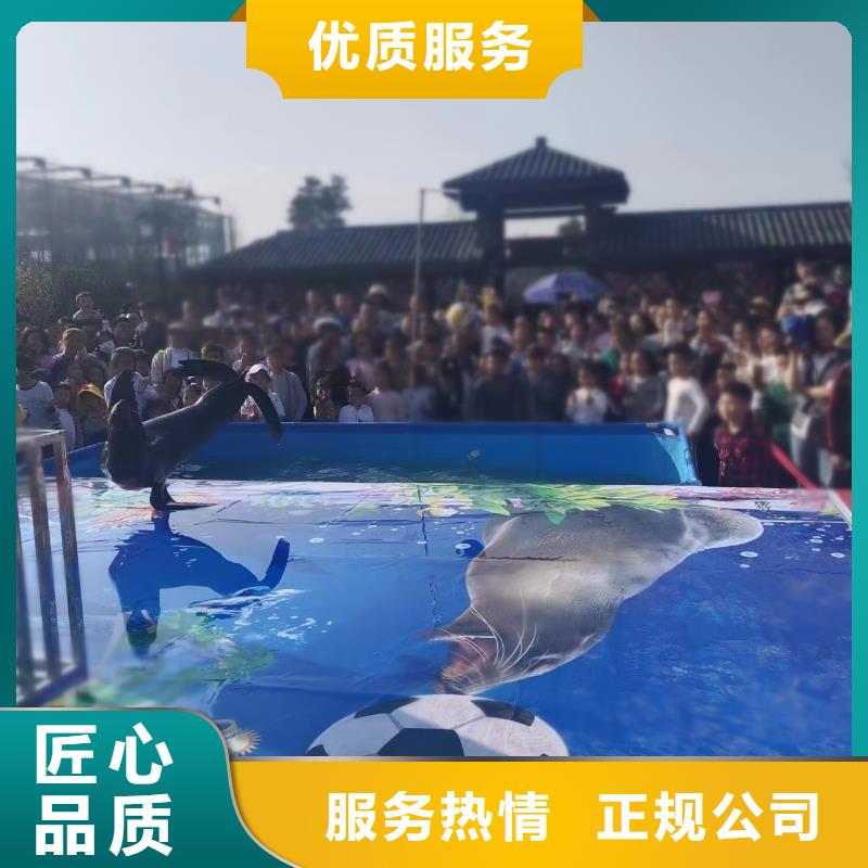 海洋主题动物表演【海狮杂技表演】欢迎询价