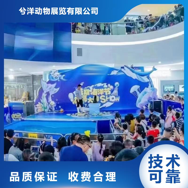 海洋主题动物表演-企鹅出租放心