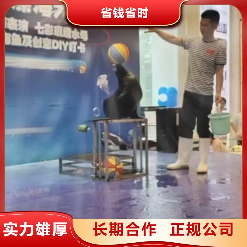 美人鱼表演视频-美人鱼表演-兮洋动物展览(湘西市分公司)服务区域保靖|龙山|怀化|永州|岳阳|益阳