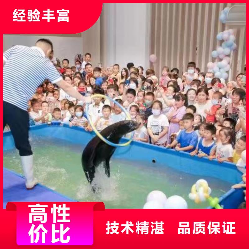 海洋主题动物表演羊驼出租先进的技术