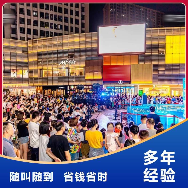 美人鱼表演出租海洋动物