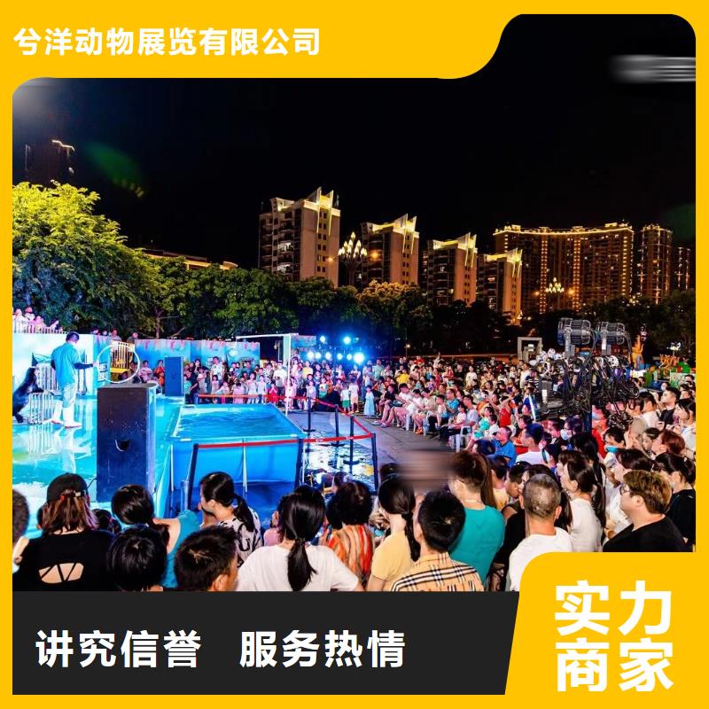 海洋主题动物表演,【海狮表演出租】快捷