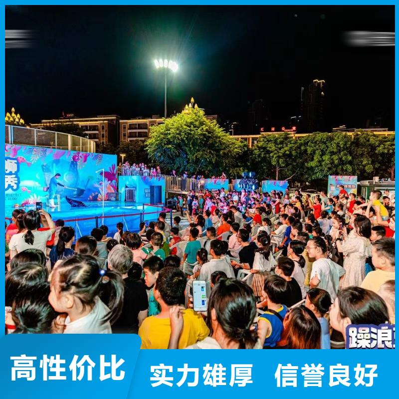 海洋主题动物表演【【出租海狮表演】】解决方案