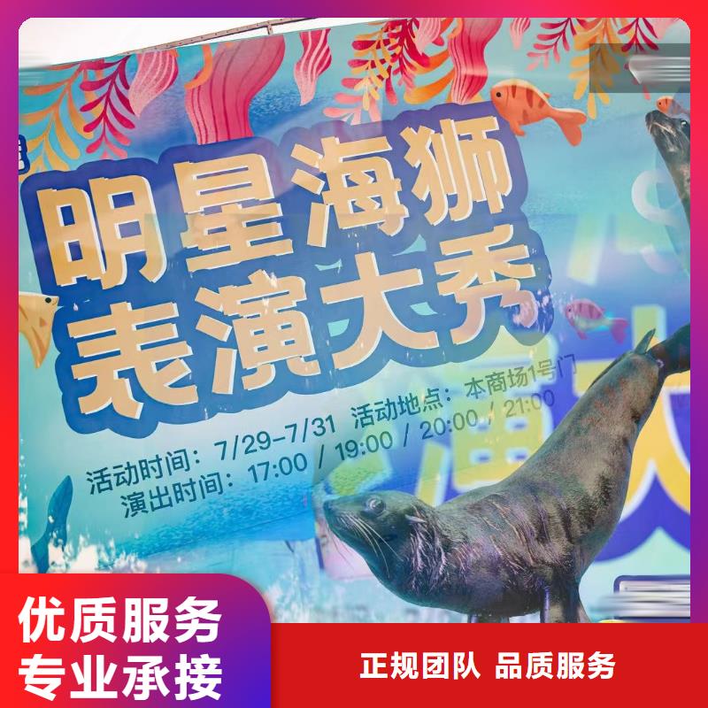 【海洋主题动物表演 海洋展租赁多家服务案例】