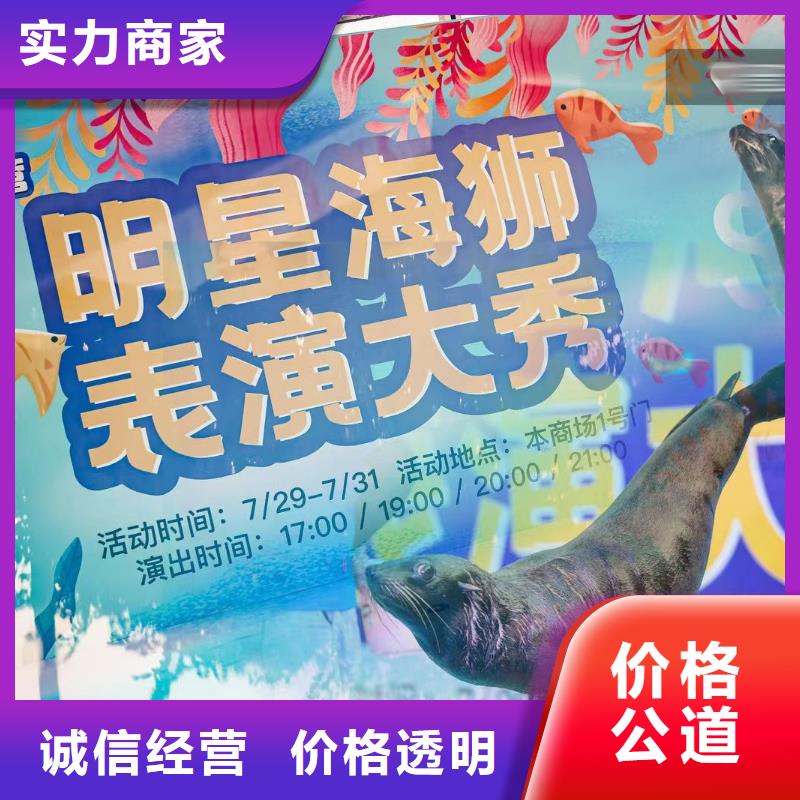 海洋主题动物表演鹦鹉表演实力商家
