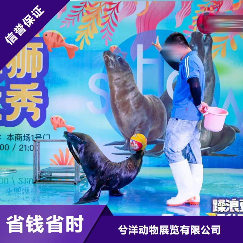 海洋主题动物表演马戏团出租 24小时为您服务